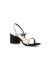 Steve Madden
