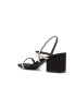 Steve Madden