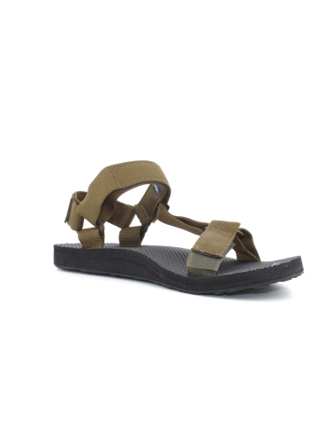 Teva