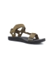 Teva