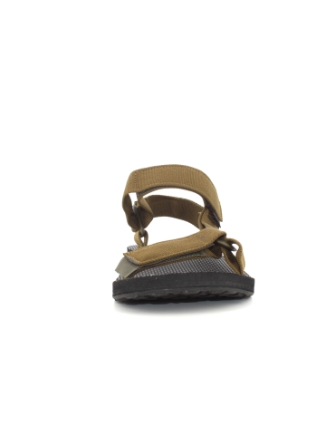 Teva