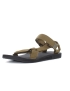 Teva