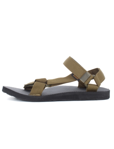 Teva