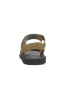 Teva