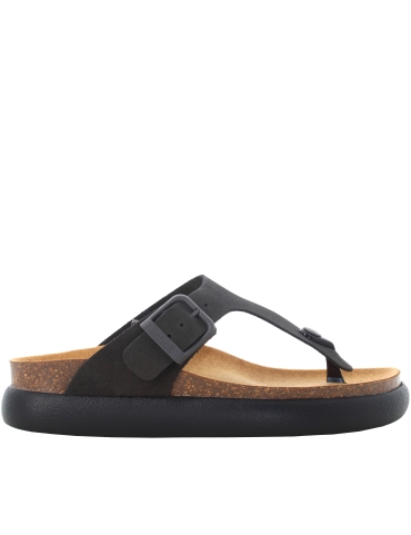 Scholl