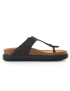 Scholl
