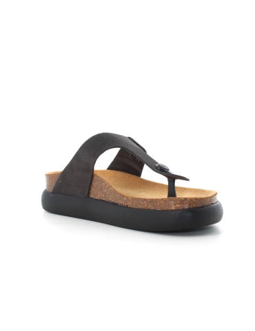 Scholl