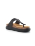 Scholl