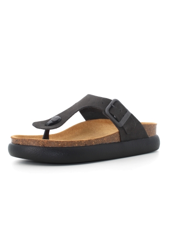 Scholl