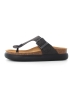 Scholl