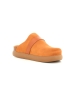 Scholl