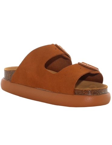 Scholl