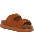 Scholl