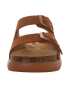 Scholl