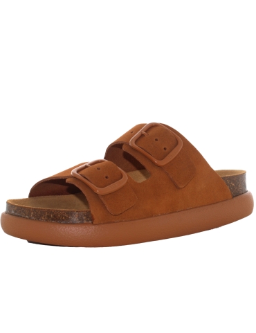 Scholl