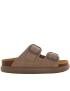 Scholl