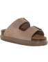 Scholl