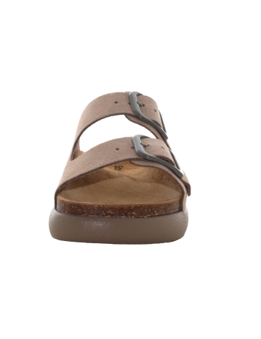 Scholl