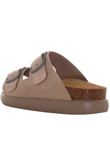 Scholl