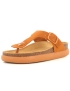 Scholl