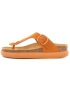 Scholl
