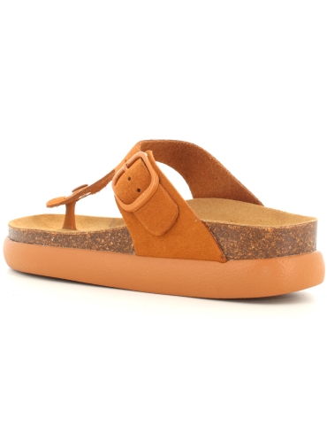 Scholl