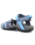 Teva